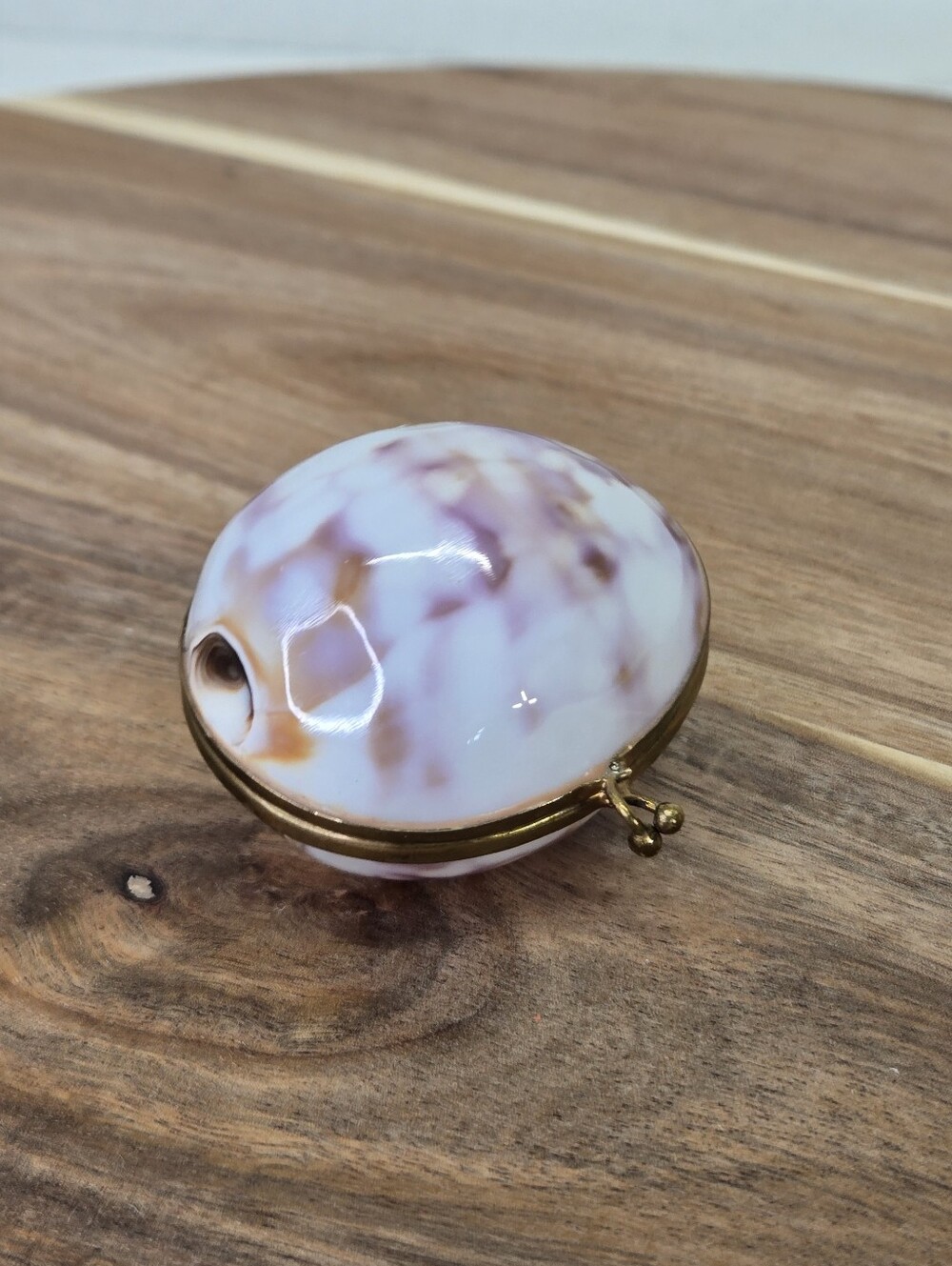 VTG Beige Cowrie Sea Shell Trinket Box Brass Hinged Clam Case Pill Purse